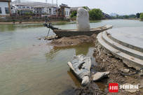 洪水过后的贵港动物园：百只动物失散，只找回1只浣熊、2只梅花鹿和7只孔雀 | 封面头条