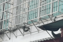 一小区出现眼镜王蛇，重达16斤，就在居民窗外游走，消防：是世界上体型最大的前沟牙毒蛇