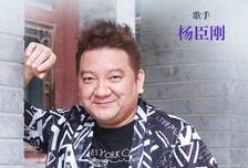 没有《老鼠爱大米》，我现在是什么样？| 专访杨臣刚