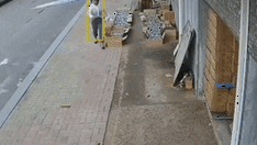 搞笑GIF：你看那个人好像一条狗啊，不，好像一只猫啊