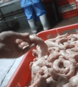 多家工厂被曝用鸡肉泥做烤肠、丸子、水饺