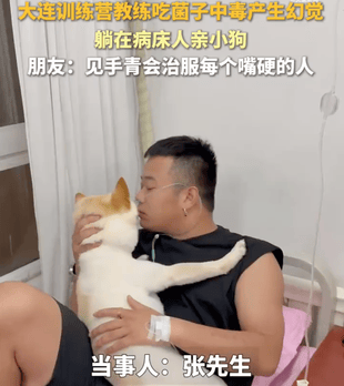 男子吃见手青中毒产生幻觉，把自家狗认成前女友狂亲6小时：狗子都快秃了！