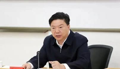 国文清被查