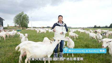 有机奶粉和普通奶粉的区别在哪里？老爸评测通关有机羊奶粉实测揭秘