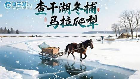 “查干湖”纸巾现身市场，质量达标引关注