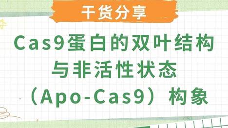 一窥基因编辑“顶流”的秘密：Cas9蛋白的双叶结构解析