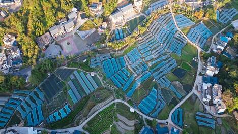 【金牌旅游村】福建｜长汀县南坑村：闽西明珠 阡陌鎏金