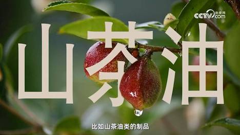 婴护品牌松达以技术创新与品质坚守突破前行 展现山茶油霜背后的国色匠心