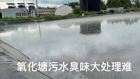 养殖场没有废水处理系统怎么办？低成本搞定养殖废水！快速除臭变水肥，还不烧苗