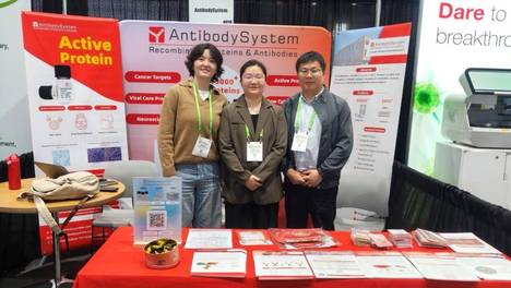 2026 AACR收官 | AntibodySystem 以高精准试剂助力肿瘤创新研发