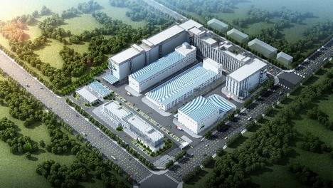 响应国家全谷物行动计划 好面缘全麦粉上市助力国民健康饮食升级