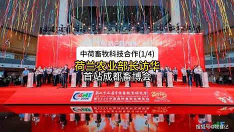 内容配图