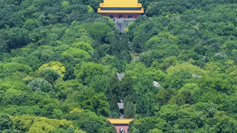 武汉 VS 南京正面刚！江湖江城碰上文雅金陵，你更 pick 哪一座