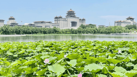 三伏天将至，再馋也要管住嘴：少吃2果，多吃3菜，清热解暑不伤胃，整个三伏都有劲儿！