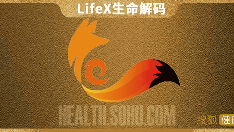 LifeX | 哪儿凉快哪儿待着去！Cell研究实锤：高温会在体内留下永久“热记忆”，悄悄催胖、埋下糖尿病隐患
