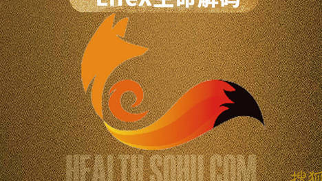 LifeX｜ACL断裂后还能踢世界杯决赛？罗德里的膝盖经历了什么