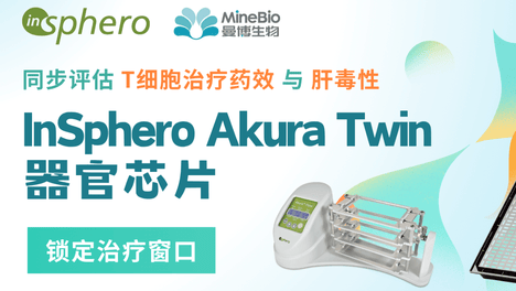 器官芯片共培养体系用于BiTE抗肿瘤药效与肝毒性联合评价研究