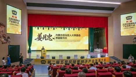 “柿”产业照亮五原县农产经济前景