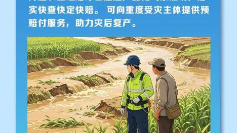 防汛救灾 | 一图看懂暴雨汛期理赔指南