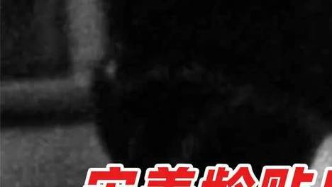 内容配图