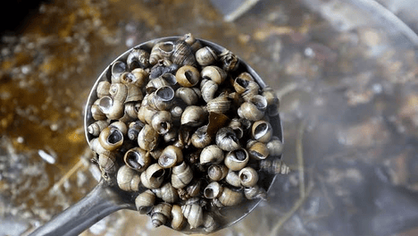 螺蛳粉汤料液位怎么测？音叉液位开关和浮球怎么选？