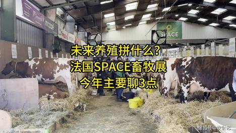 内容配图