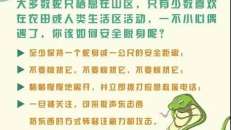 广西博白一地惊现40斤大蟒蛇：两个小孩发现的，蛇到底怕什么？