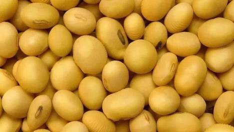 减肥和减脂大有不同