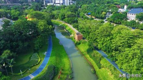 广州市第二批市级绿美碧带名录出炉