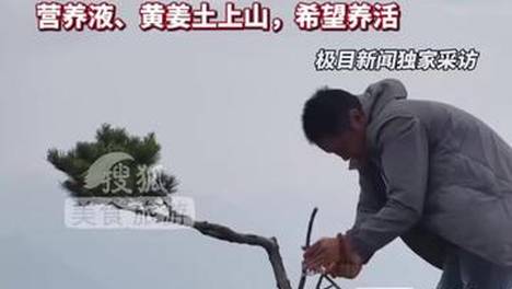 内容配图