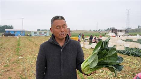 一肥六效，鲁花花生肽肥的化肥替代之路 ——在田间地头实地探访鲁花花生肽肥六大“超能力”