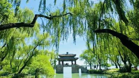 很多人根本没有意识到，这个时代最大的红利