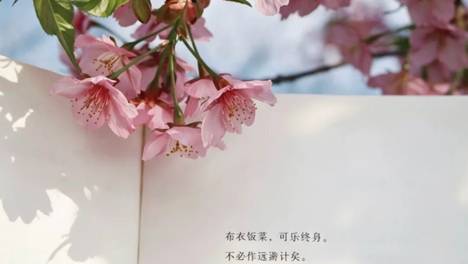 新京雅集——一套美学四书，解锁普通人的风雅生活