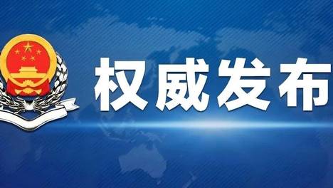 税务总局发布典型案例