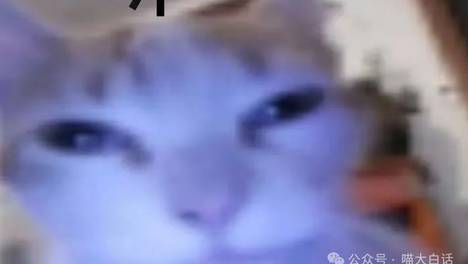 “当父母听说txl成绩更好之后……”哈哈哈哈哈请冷静一点啊！！