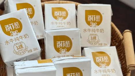 新三板、上交所、北交所、港交所…“水牛奶一哥”百菲乳业的上市路，被什么“卡脖子”了？