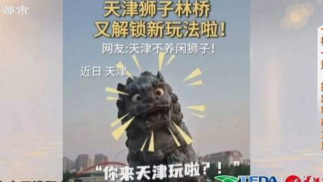 天津不养闲桥 一桥一景 拍出城市大片