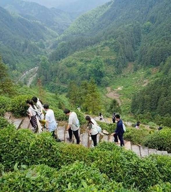 沿着“古道”去旅行 激活沉睡历史遗存