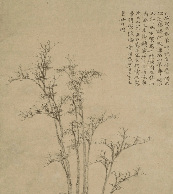 一阵秋风，叶子颤抖着飘落，像是舍不得离开故林丨周末读诗