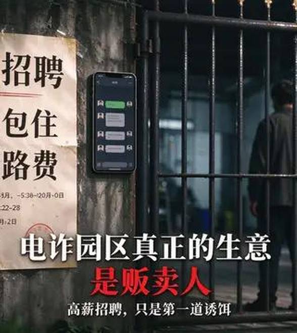 你以为电诈园区靠诈骗谋生，要真是这样他们早就喝西北风了