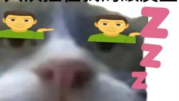 笑点满满的表情包！