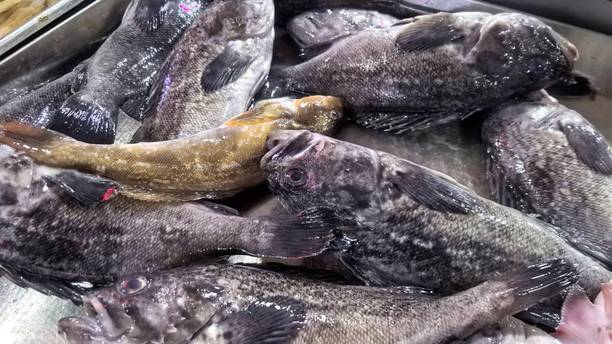秋天“大补的鱼”！不是黄鳝、泥鳅，这3种应季鲜鱼，肉嫩刺少，肥美营养正当时，人人吃得起！
