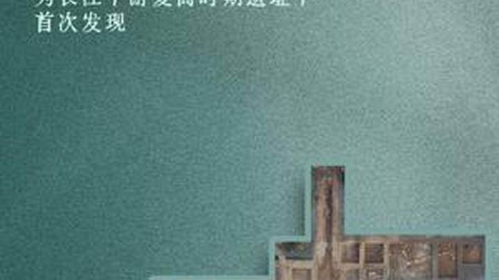 盘龙城遗址是夏商印记吗？