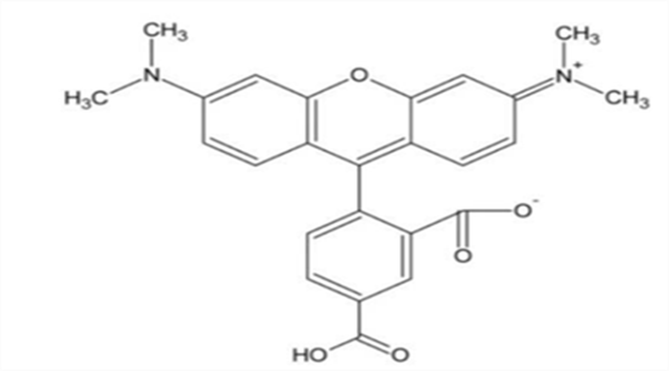 5-羧基四甲基罗丹明,91809-66-4,5-tamra