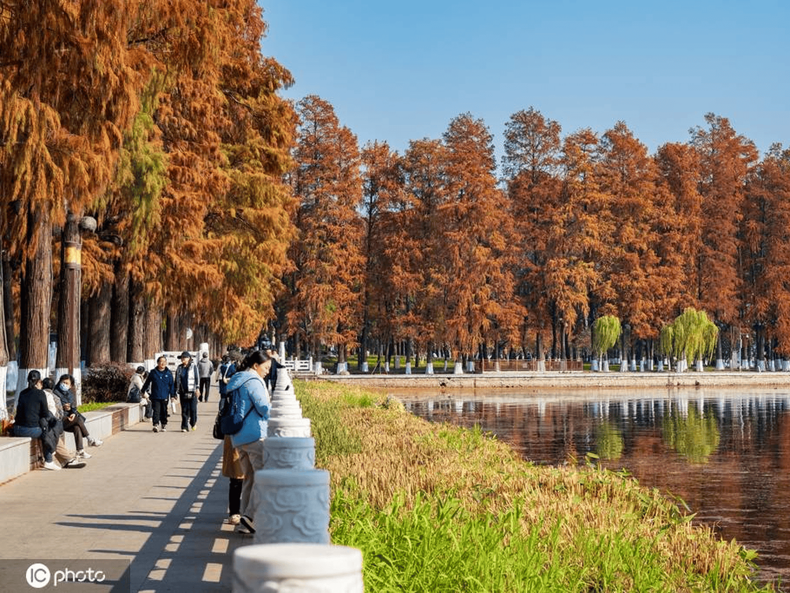 武汉:初冬暖阳 东湖风景区色彩斑斓风景怡人