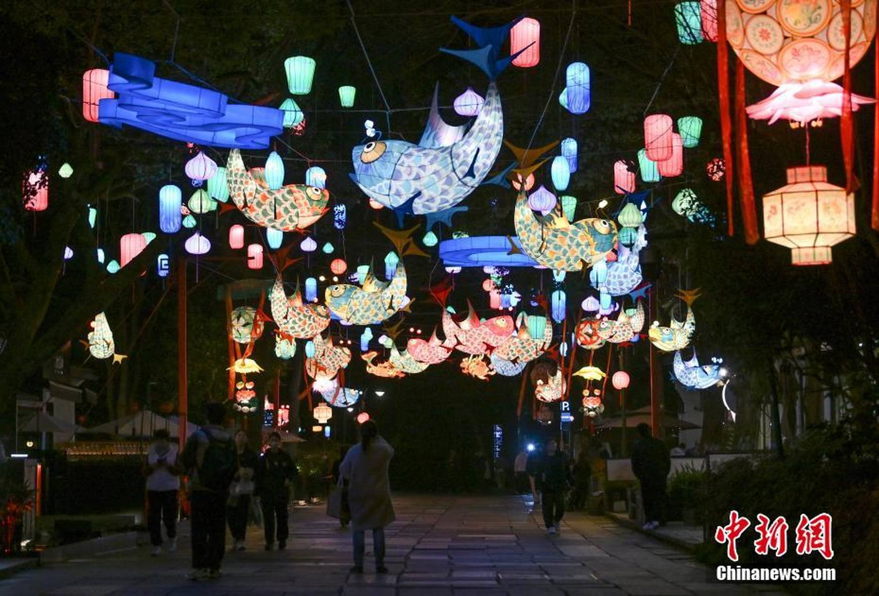 亮眼的年味儿!各地流光溢彩迎新春