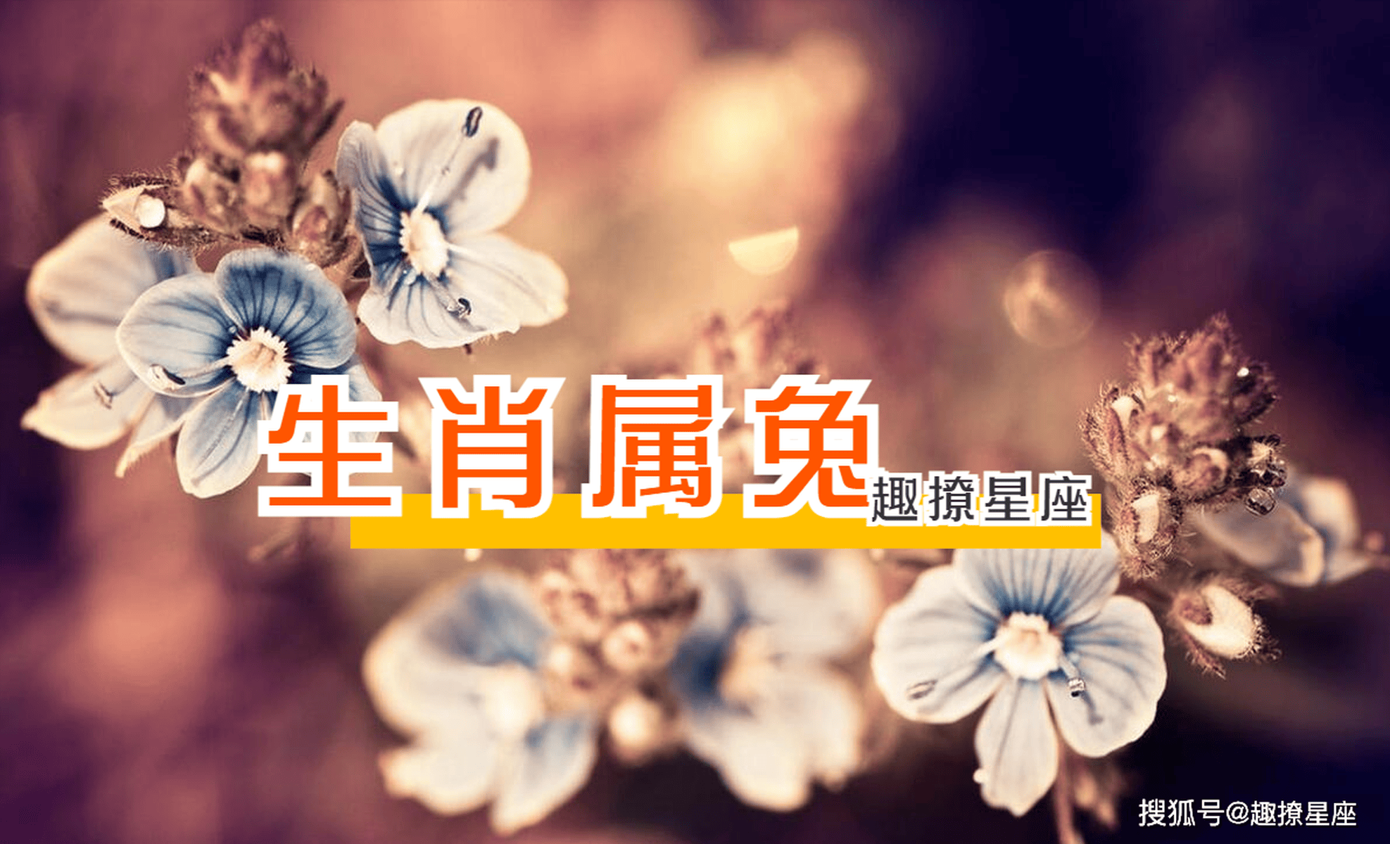 生肖运势天天看7月23日(2021年7月23日特吉生肖运势)