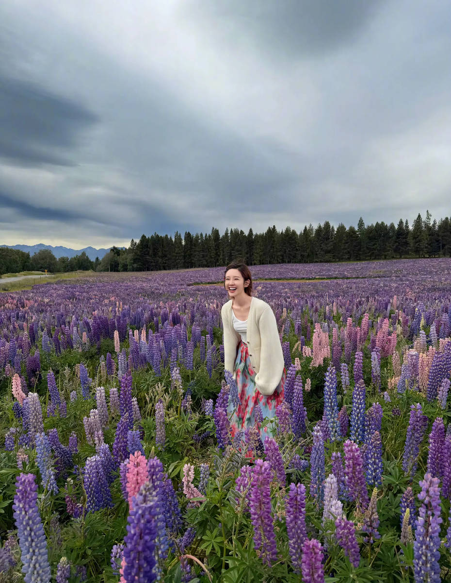 唐艺昕薰衣草花海悠闲漫步！绽放灿烂笑容心情大好