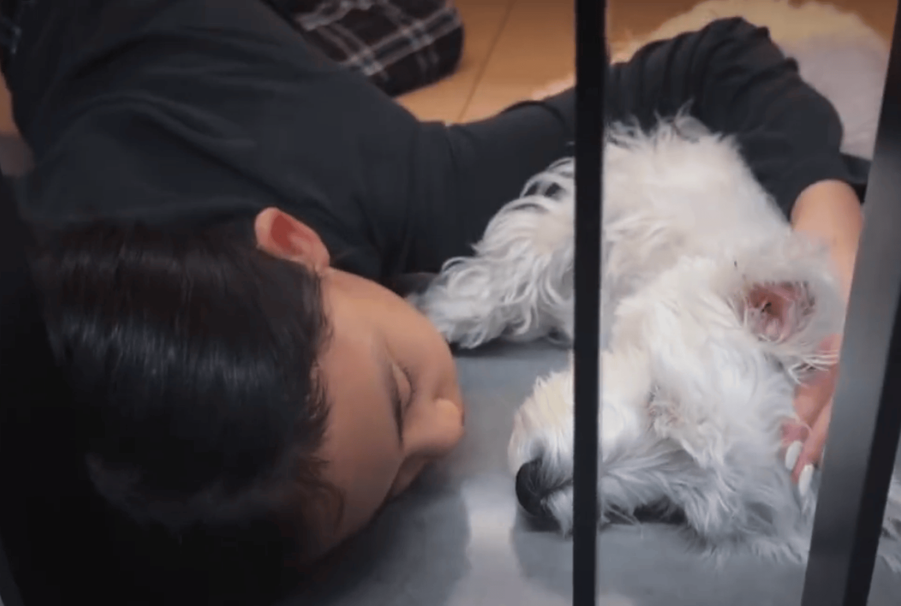 黄磊妻子晒仨孩子日常生活！小儿子拉大提琴超帅气