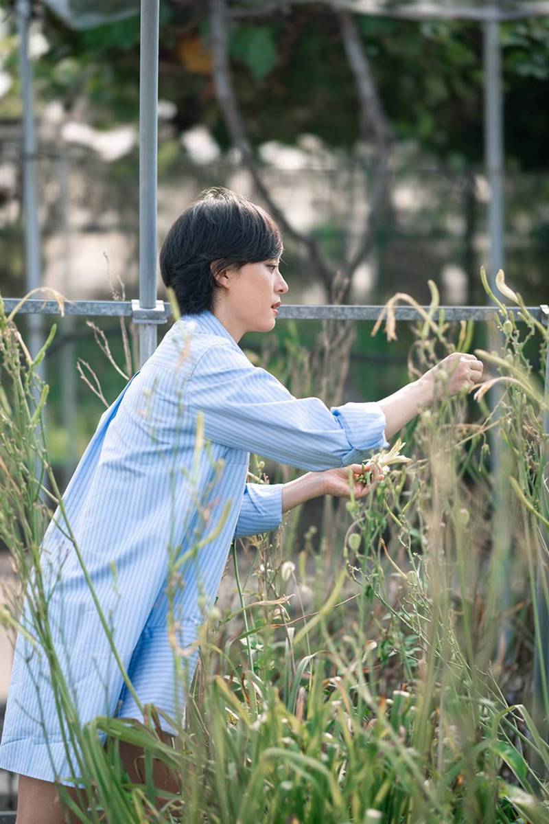 孙俪体验农场生活随拍照 状态悠闲又惬意